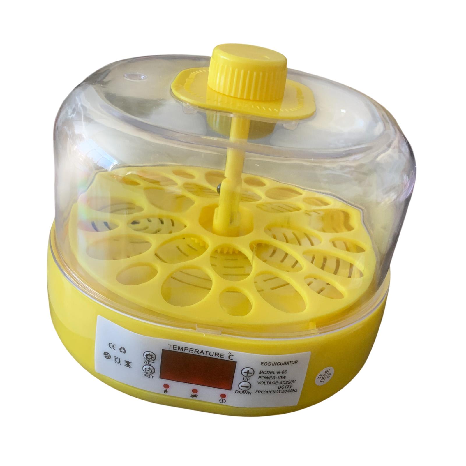 Quail Egg Incubator - Incubatrice per uova Turner per uova