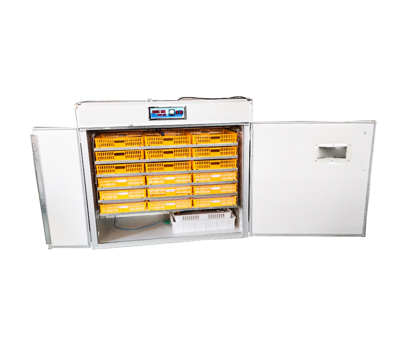 Quail Egg Incubator - Controller per Incubatrice Automatica di Uova