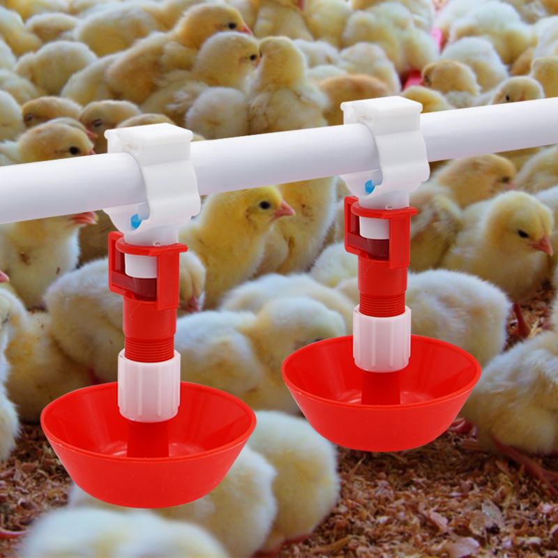 Chicken Nipple Drinker - 5/10/20 Pcs Automatico Pollo Acqua Tettarelle