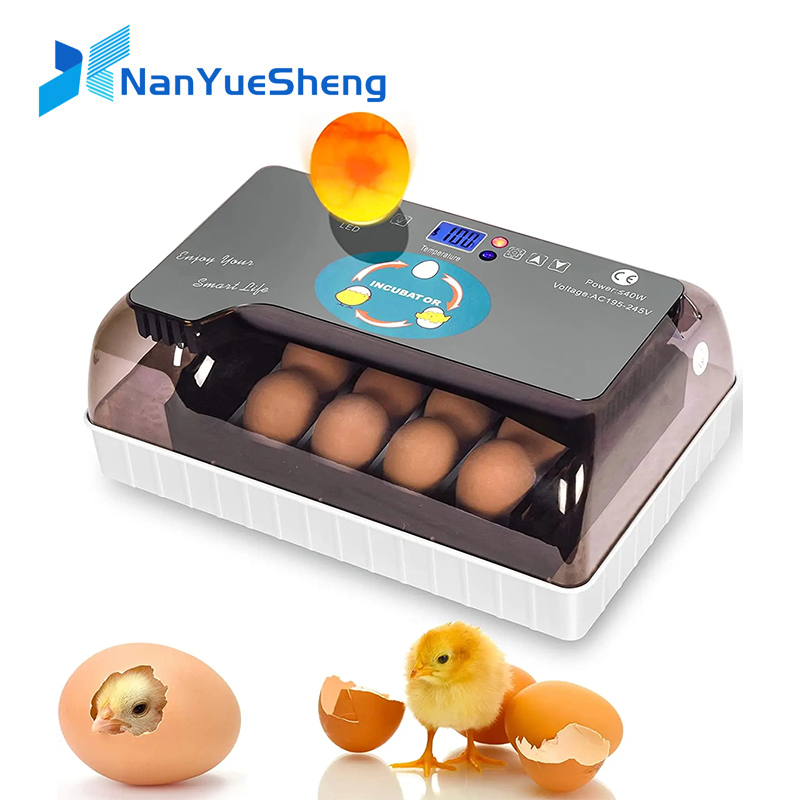 Quail Egg Incubator - Automatico HHD Migliore digitale 12 uova