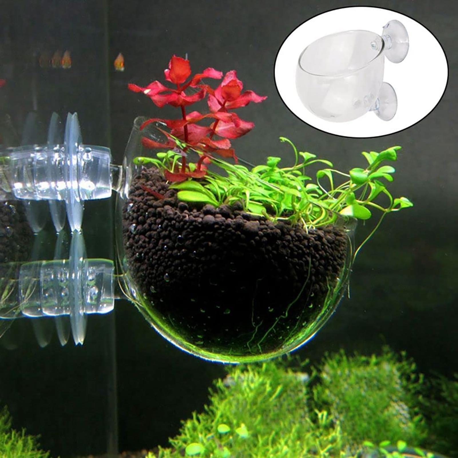 Plant Growth Regulator - Vaso per piante acquatiche Fioriera per