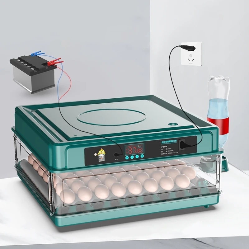 Quail Egg Incubator - 12 24 38 uova incubatrice Auto