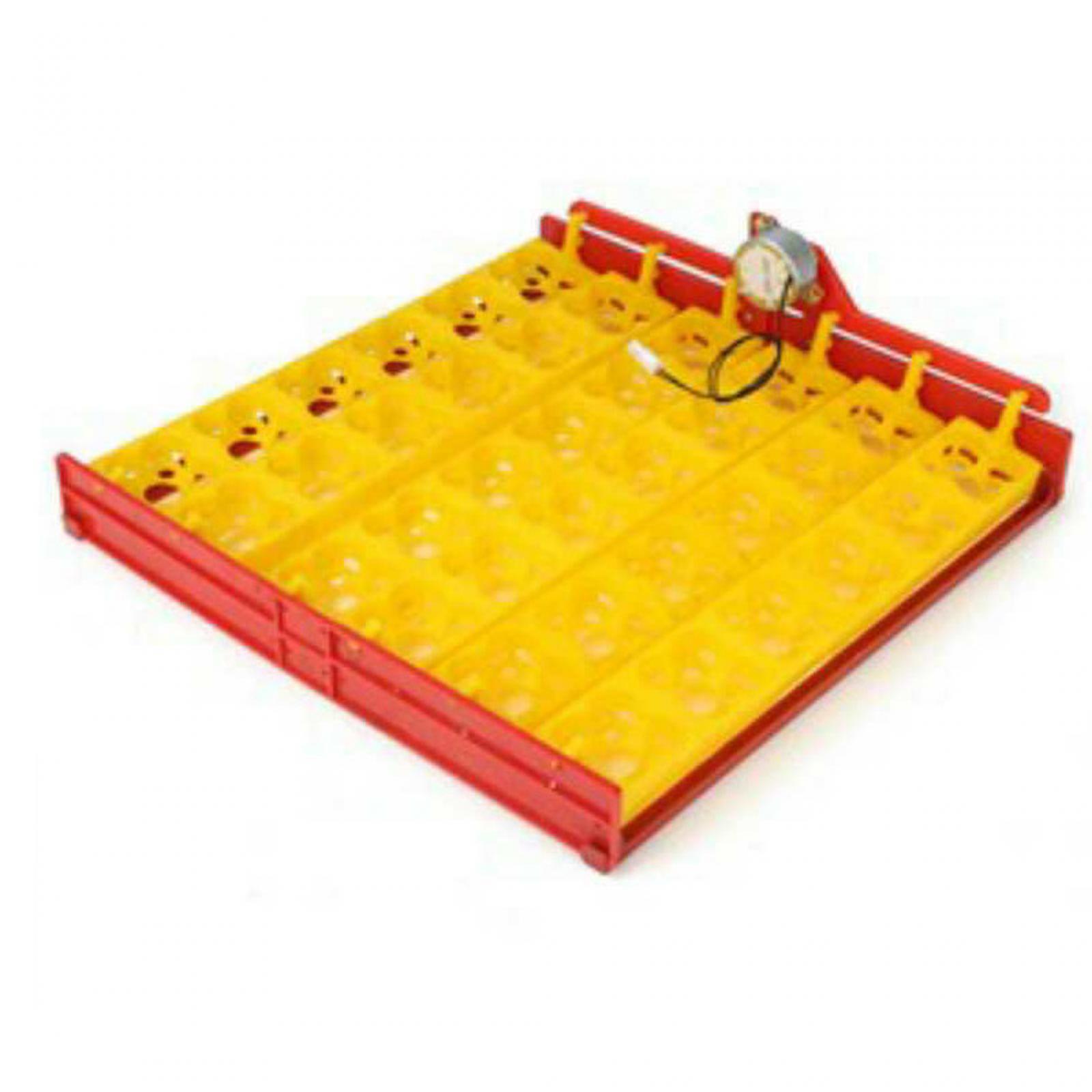 Quail Egg Incubator - Vassoio per Incubatrice di Uova in