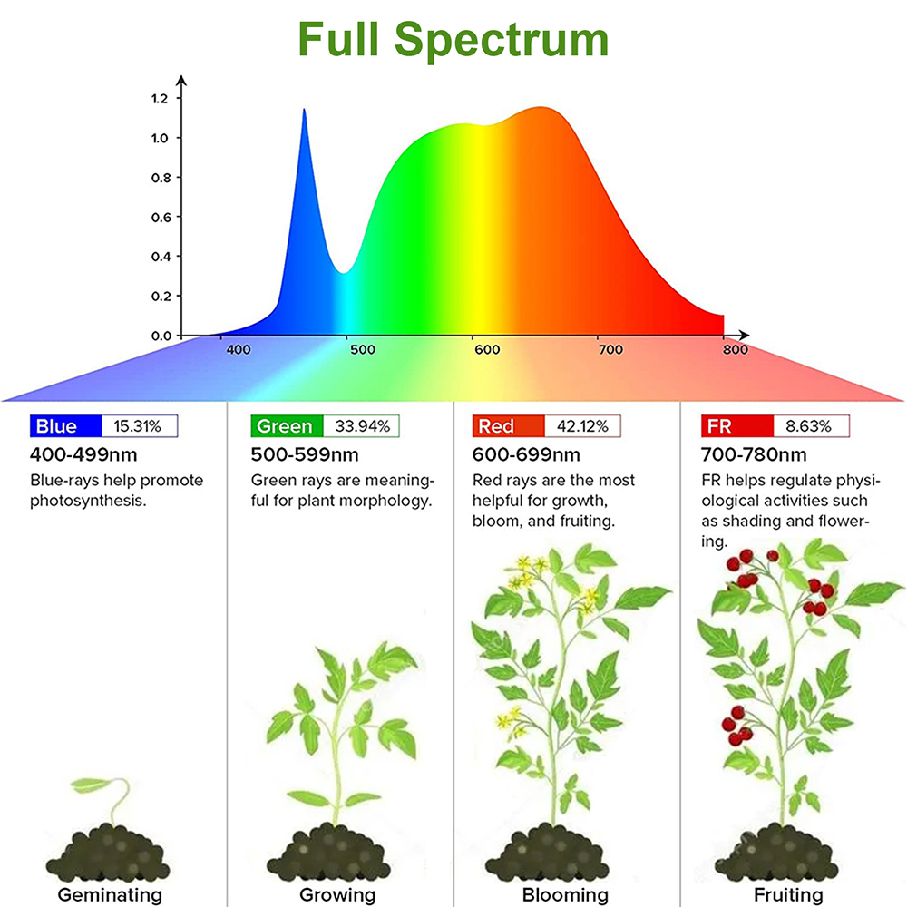 1/2/3/4 Testa LED Coltiva La L - Plant Growth Regulator recensione e prezzo