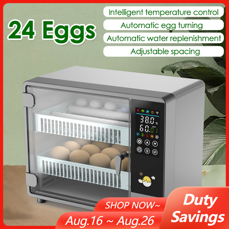 Incubatrice per uova con rotaz - Quail Egg Incubator recensione e prezzo