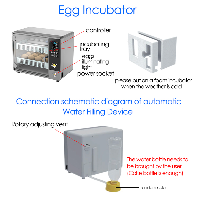 Incubatrice per uova con rotaz - Quail Egg Incubator recensione e prezzo