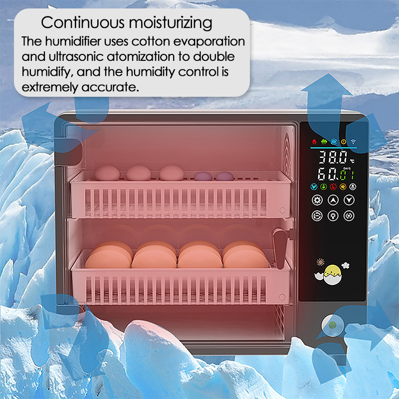 Incubatrice per uova con rotaz - Quail Egg Incubator recensione e prezzo