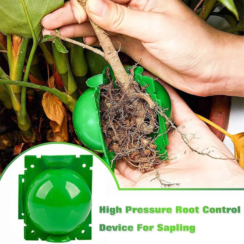 5/30 Pezzi Scatole per la Prop - Plant Growth Regulator recensione e prezzo