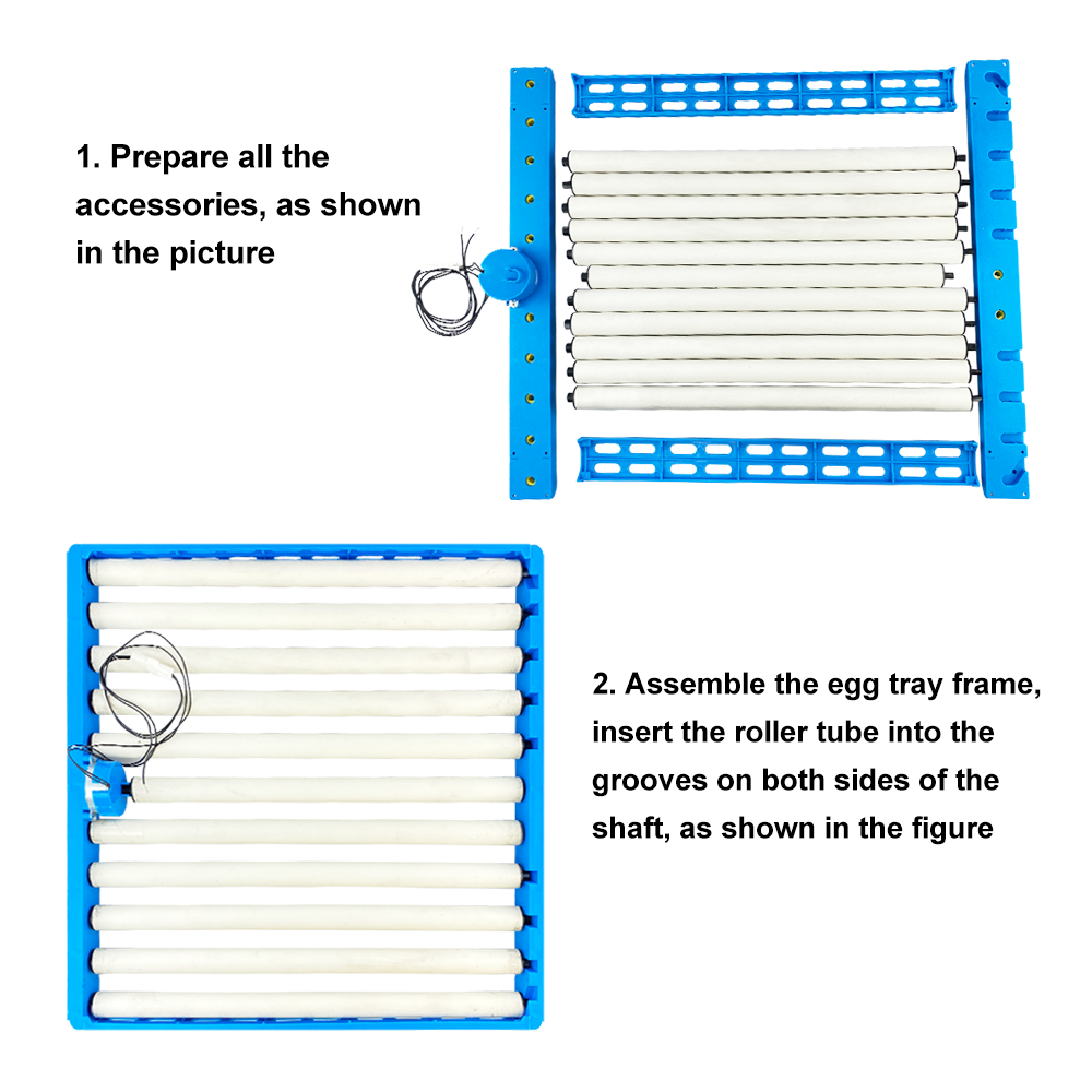 Vassoio a rulli per girare le  - Quail Egg Incubator recensione e prezzo