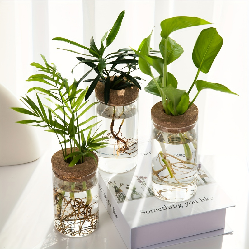 1 pz, piante idroponiche vaso  - Plant Growth Regulator recensione e prezzo