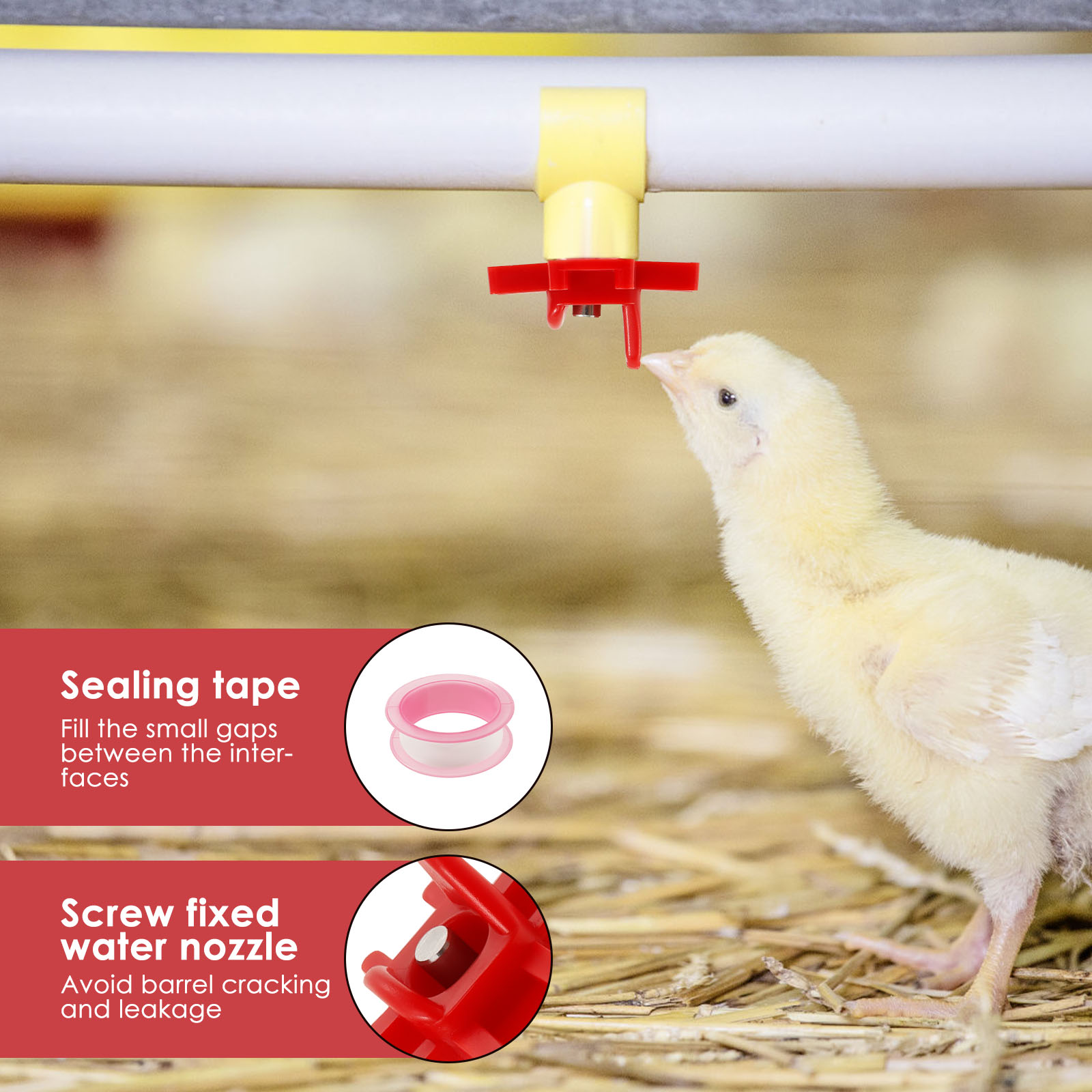 30 pezzi abbeveratoio per poll - Chicken Nipple Drinker recensione e prezzo