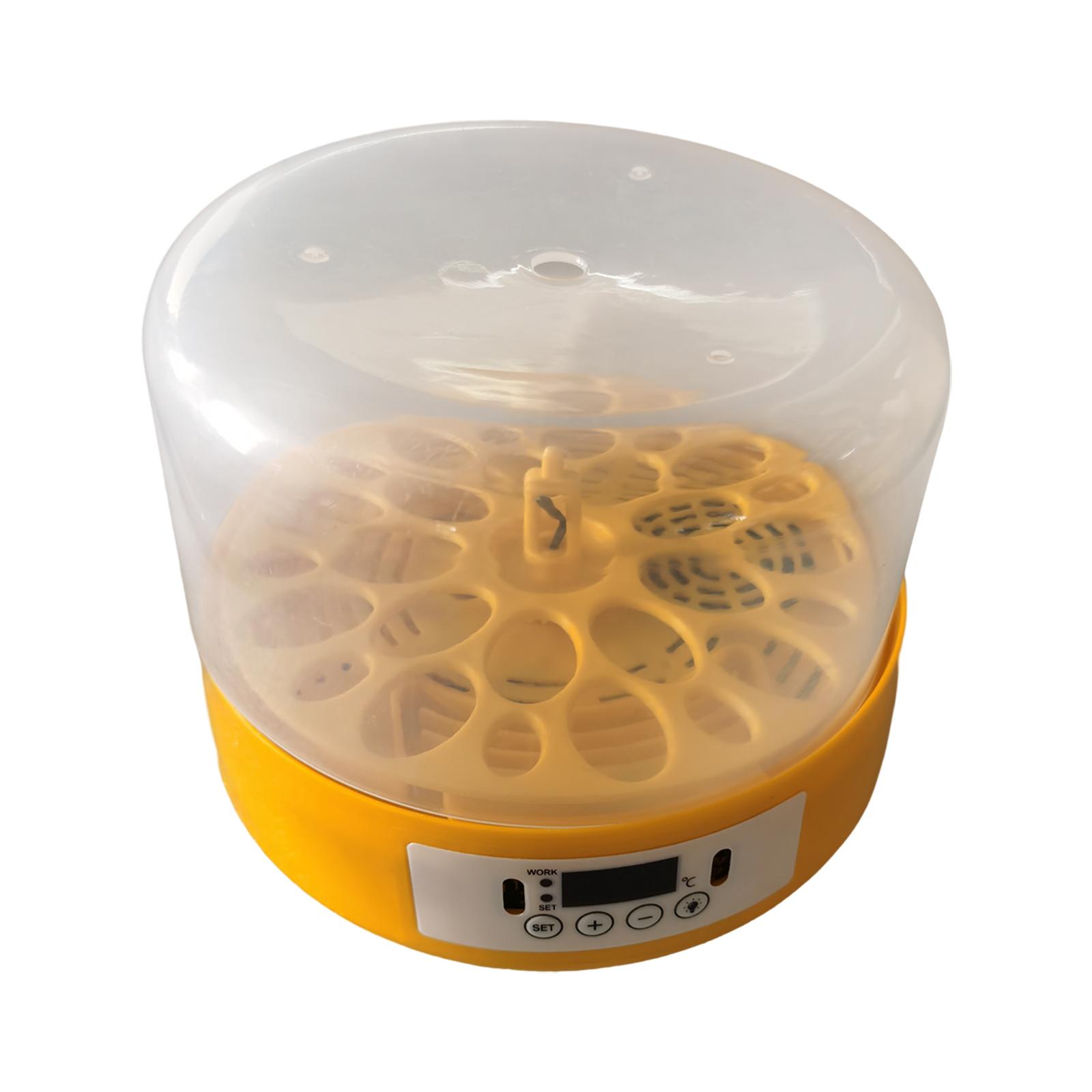 Incubatrice per uova Turner pe - Quail Egg Incubator recensione e prezzo