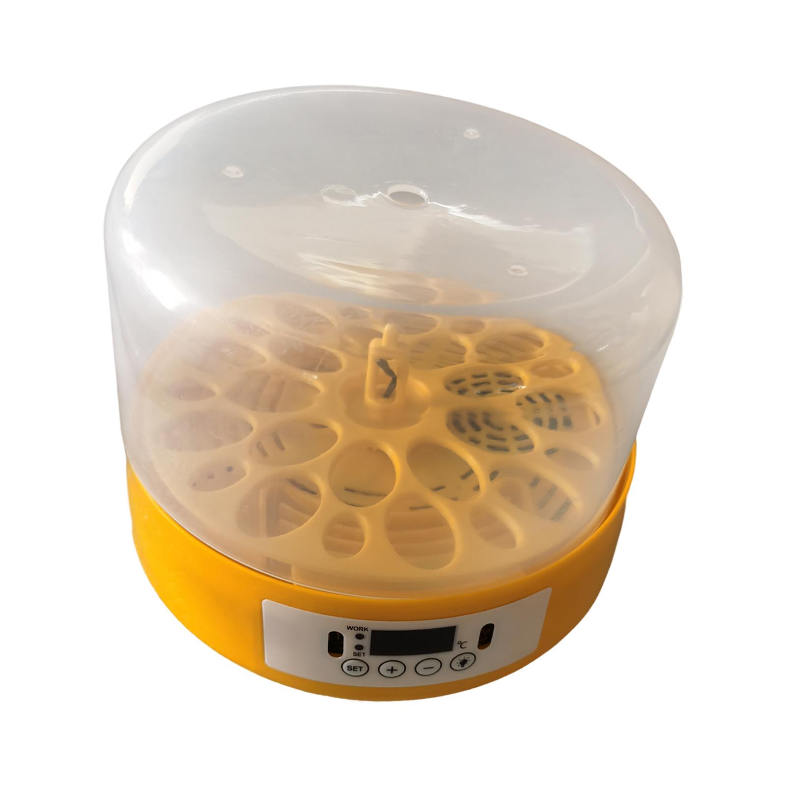 Incubatrice per uova Turner pe - Quail Egg Incubator recensione e prezzo