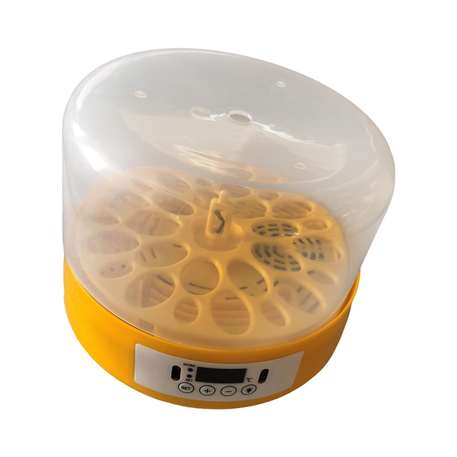 Incubatrice per uova Turner pe - Quail Egg Incubator recensione e prezzo