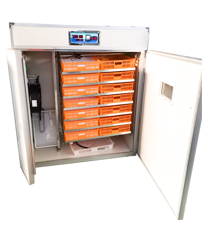 Controller per Incubatrice Aut - Quail Egg Incubator recensione e prezzo