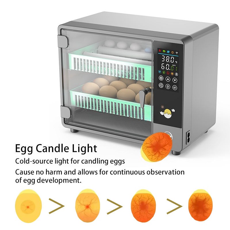 Incubatrice per Uova Completam - Quail Egg Incubator recensione e prezzo