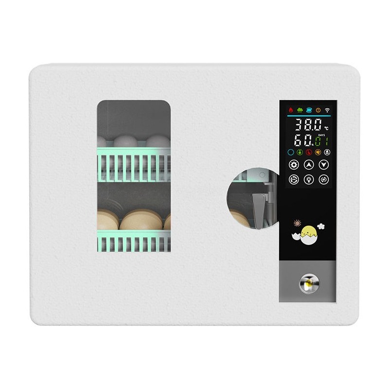 Incubatrice per Uova Completam - Quail Egg Incubator recensione e prezzo
