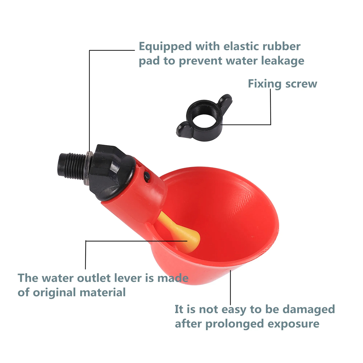 Bicchiere automatico per polla - Chicken Nipple Drinker recensione e prezzo