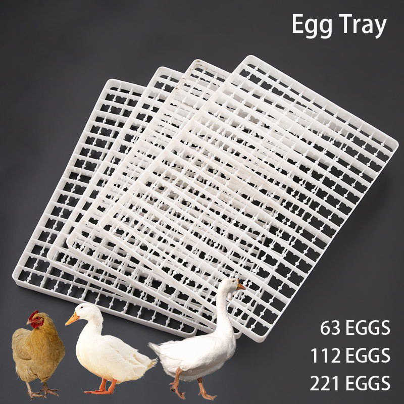 1 pz vassoio per uova per incu - Quail Egg Incubator recensione e prezzo