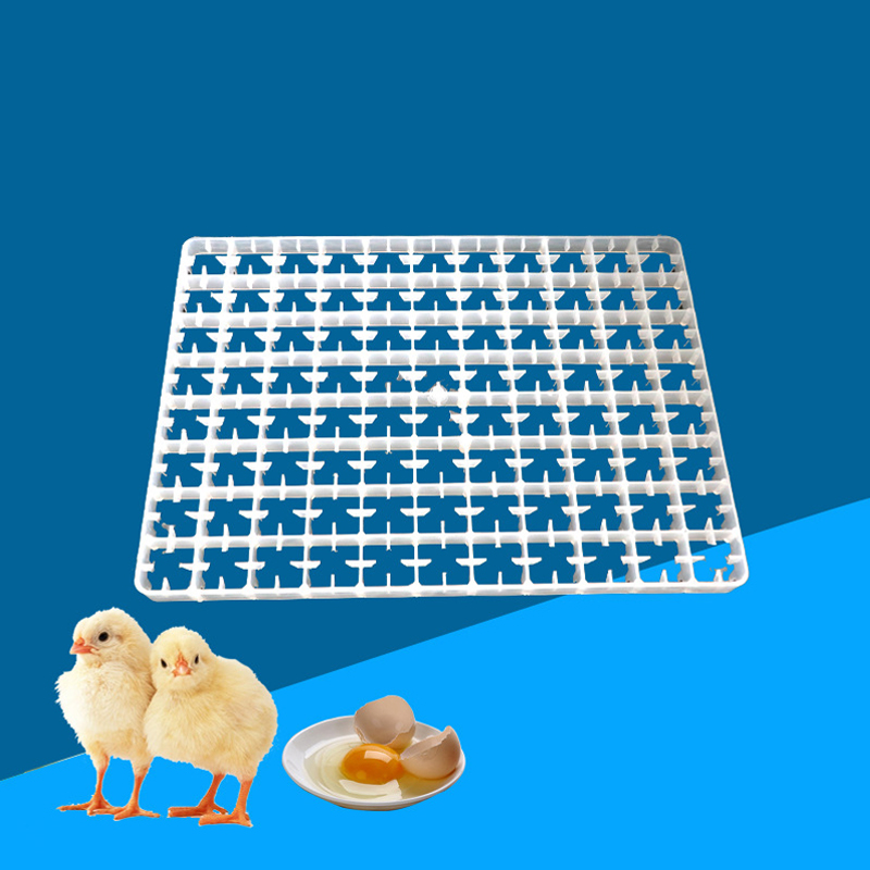 1 pz vassoio per uova per incu - Quail Egg Incubator recensione e prezzo