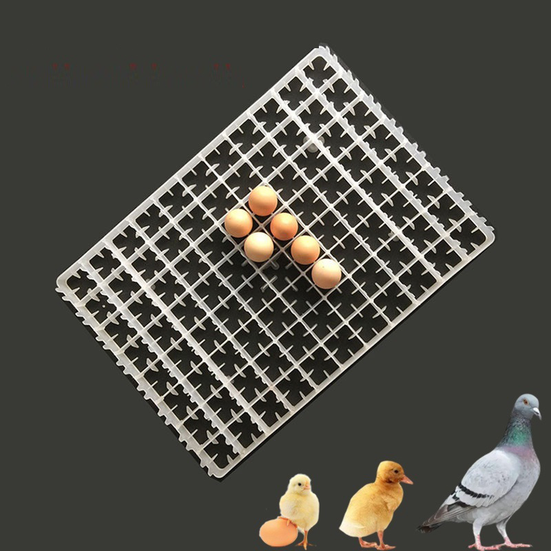 1 pz vassoio per uova per incu - Quail Egg Incubator recensione e prezzo