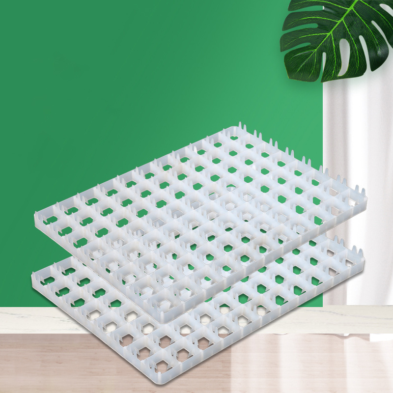 1 pz vassoio per uova per incu - Quail Egg Incubator recensione e prezzo