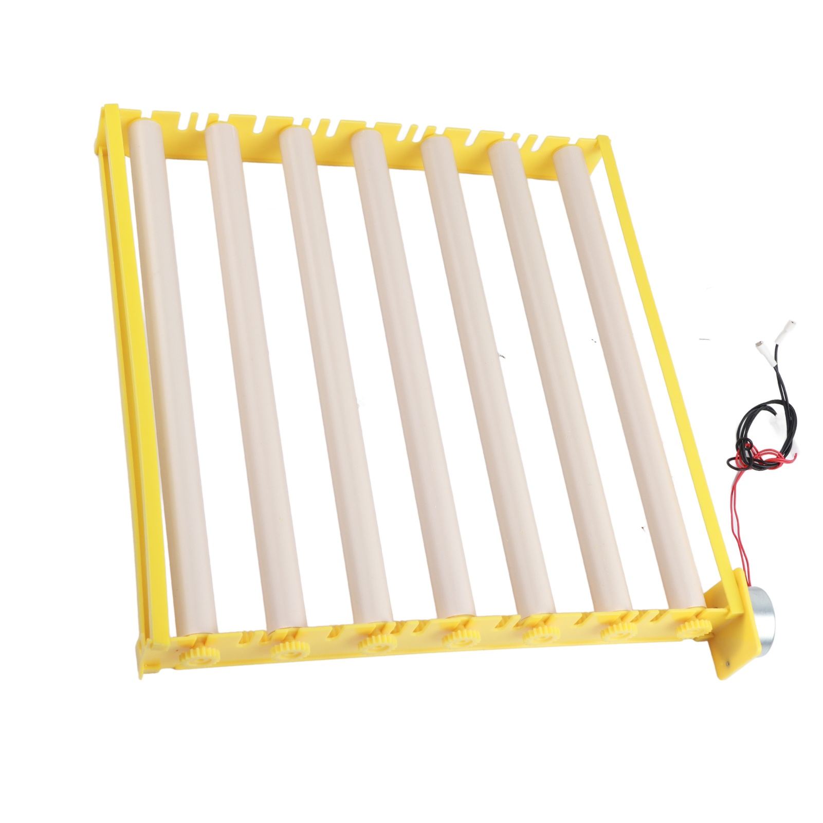 Vassoio per Incubazione Uova C - Quail Egg Incubator recensione e prezzo