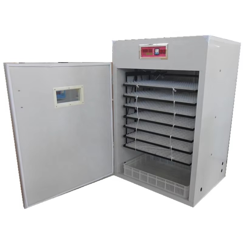 Incubatrice Industriale Automa - Quail Egg Incubator recensione e prezzo