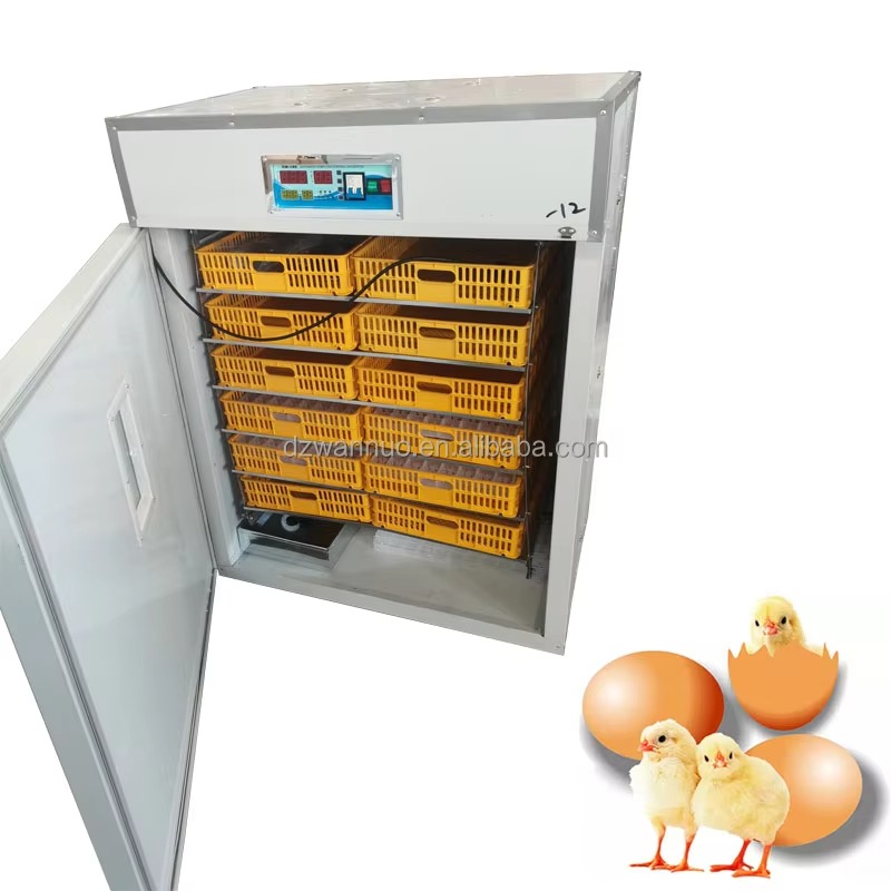 Incubatrice Industriale Automa - Quail Egg Incubator recensione e prezzo