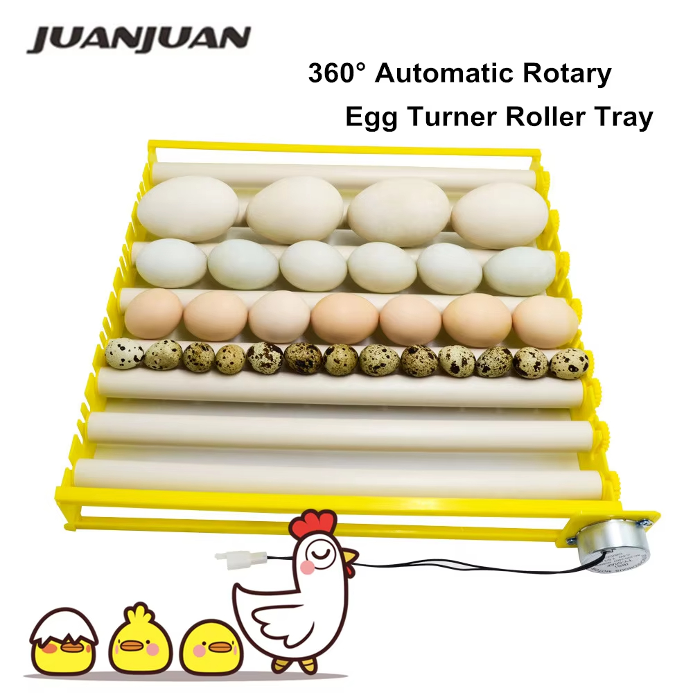 Vassoio per uova automatico a  - Quail Egg Incubator recensione e prezzo