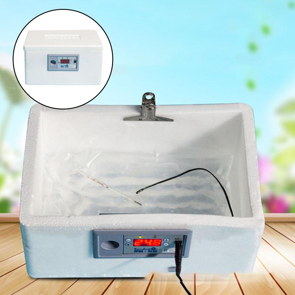 Incubatrice automatica per uov - Quail Egg Incubator recensione e prezzo