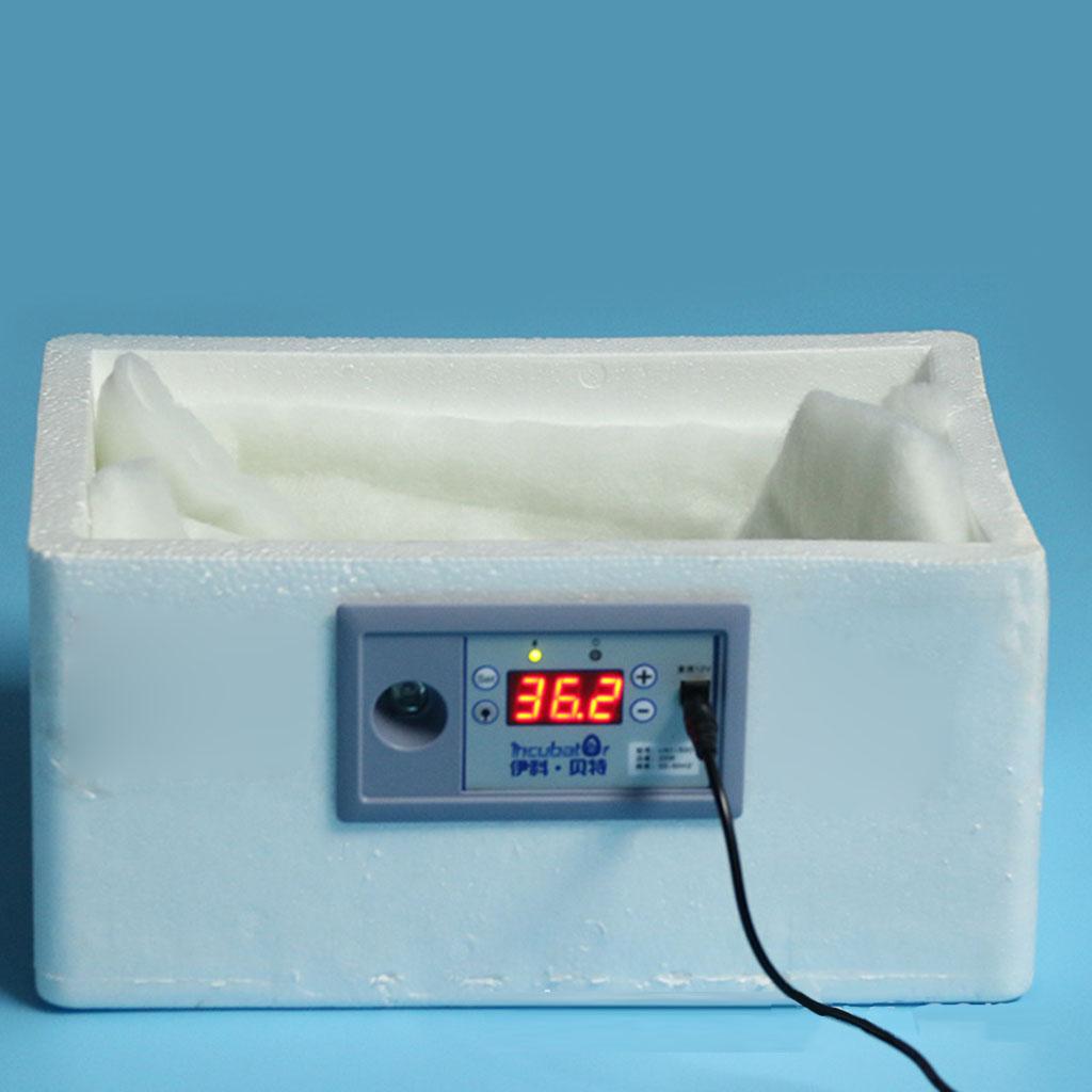 Incubatrice automatica per uov - Quail Egg Incubator recensione e prezzo