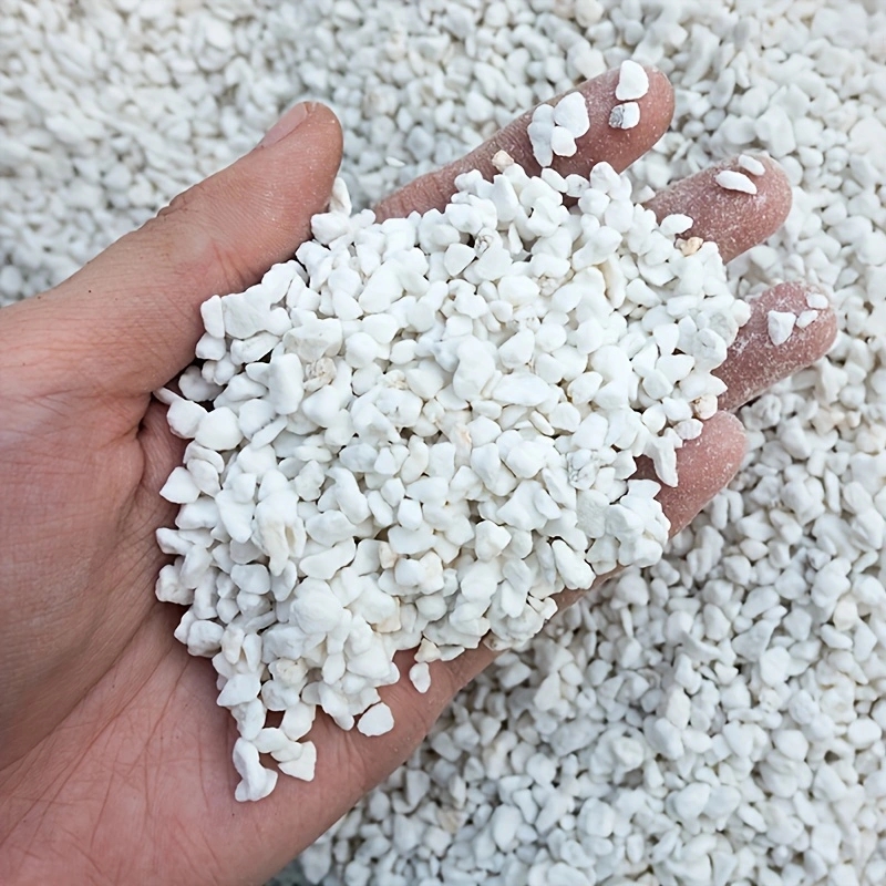1 Confezione di Perlite Ortico - Horticulture Soil Perlite recensione e prezzo