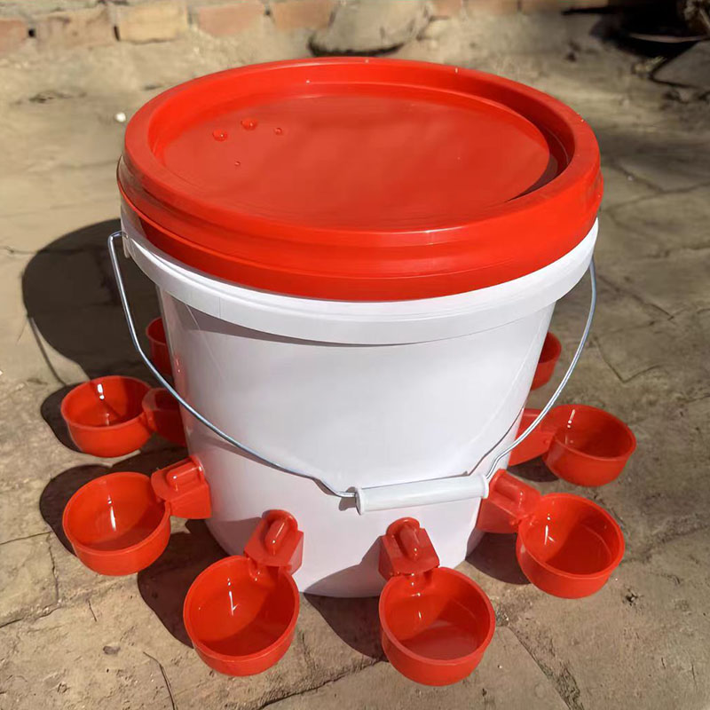 2 pezzi di pollo, ciotola, acq - Chicken Nipple Drinker recensione e prezzo