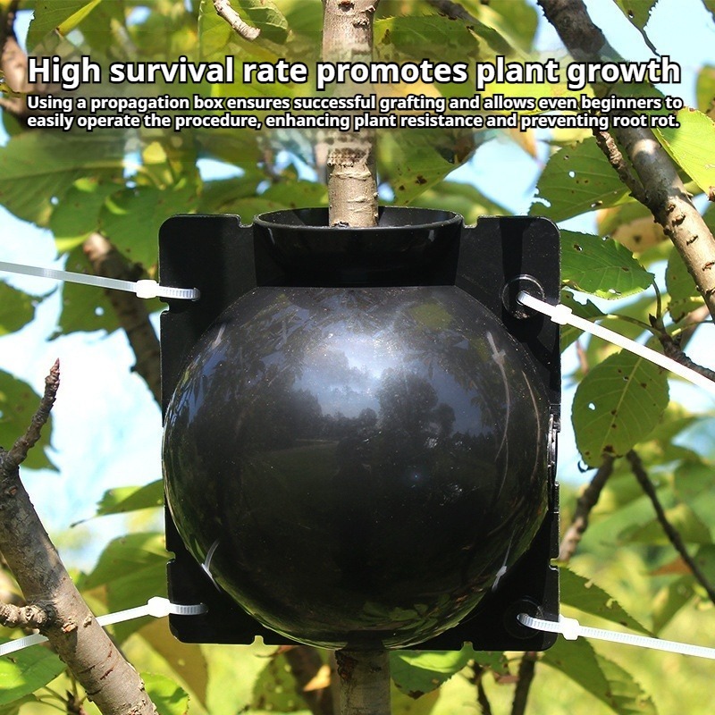 Kit di propagazione delle pian - Plant Growth Regulator recensione e prezzo
