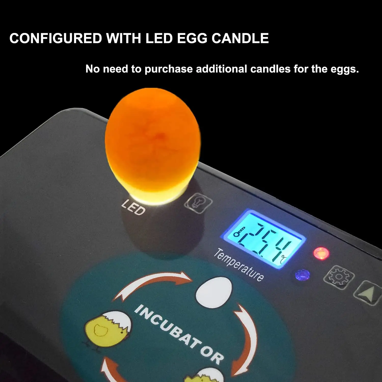 Automatico HHD Migliore digita - Quail Egg Incubator recensione e prezzo