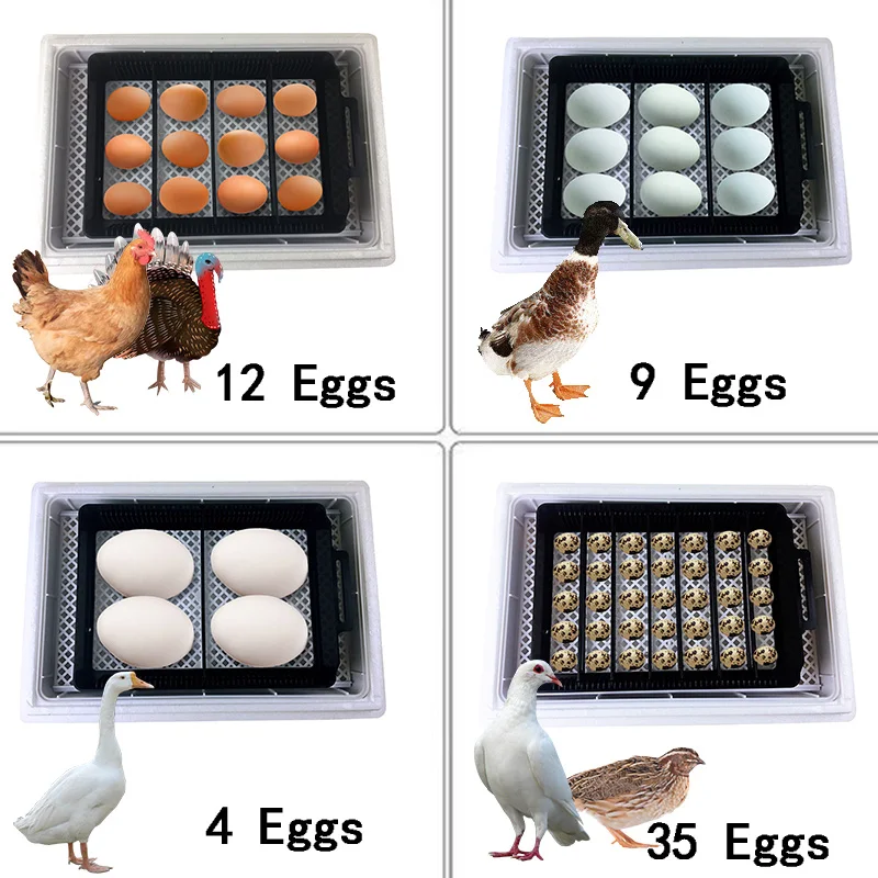 Automatico HHD Migliore digita - Quail Egg Incubator recensione e prezzo