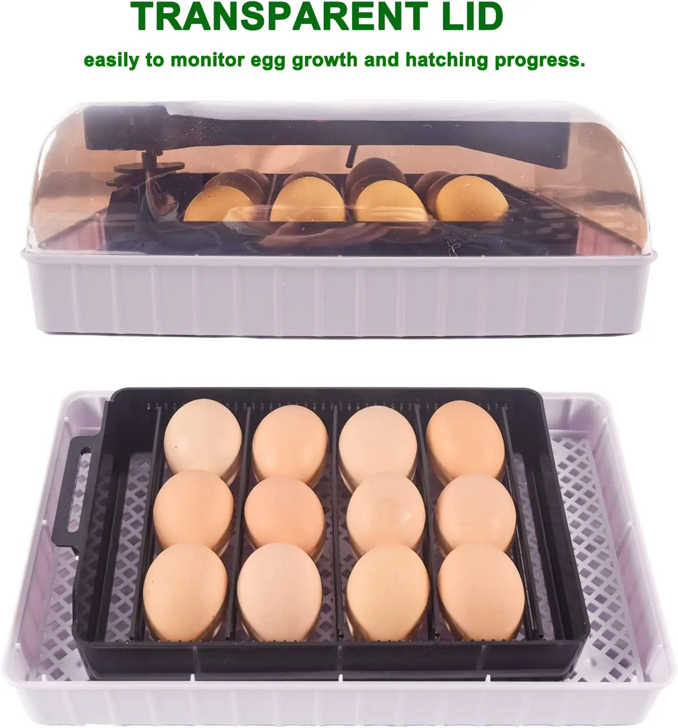 Automatico HHD Migliore digita - Quail Egg Incubator recensione e prezzo