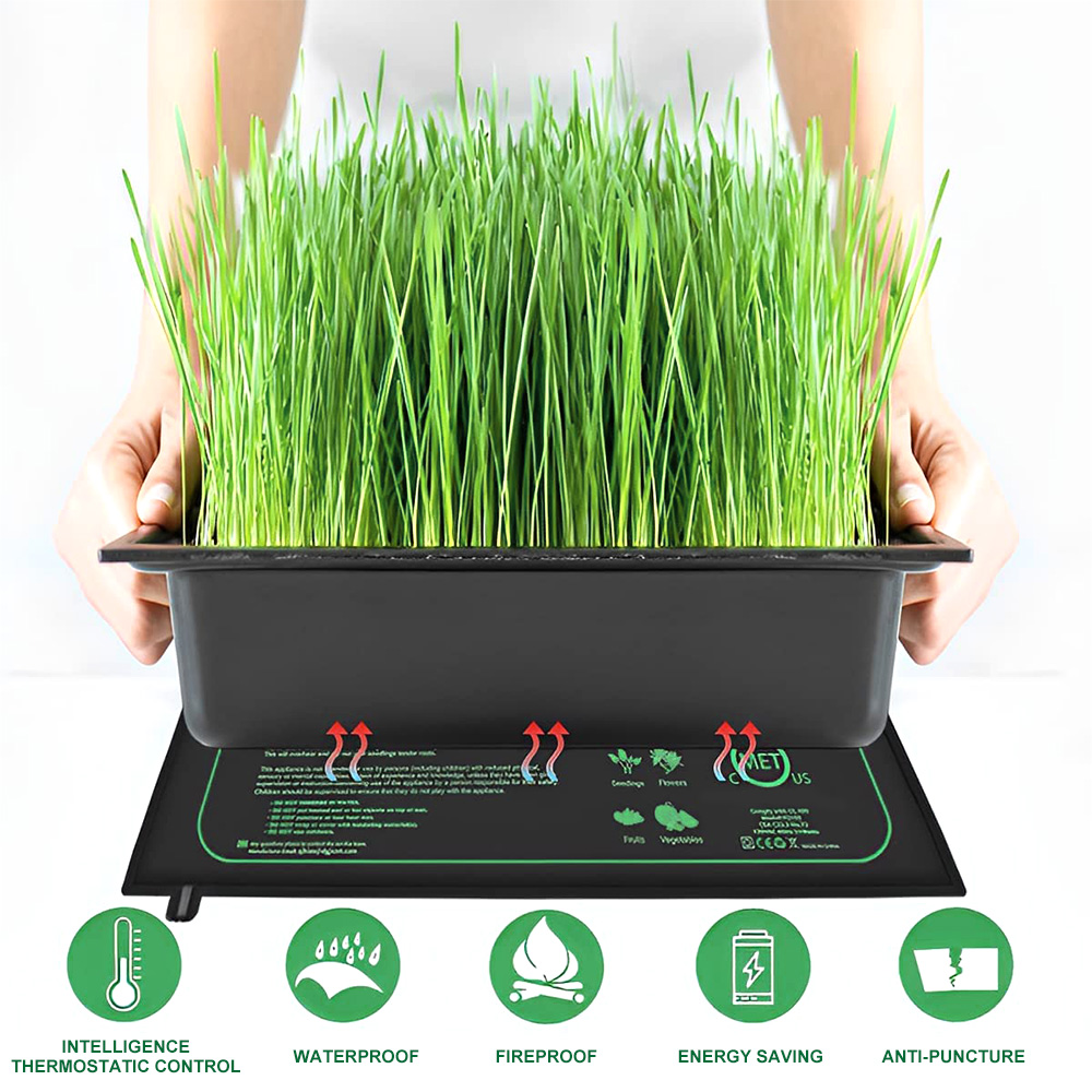 10/25/50 CENTIMETRI Piantina T - Plant Growth Regulator recensione e prezzo