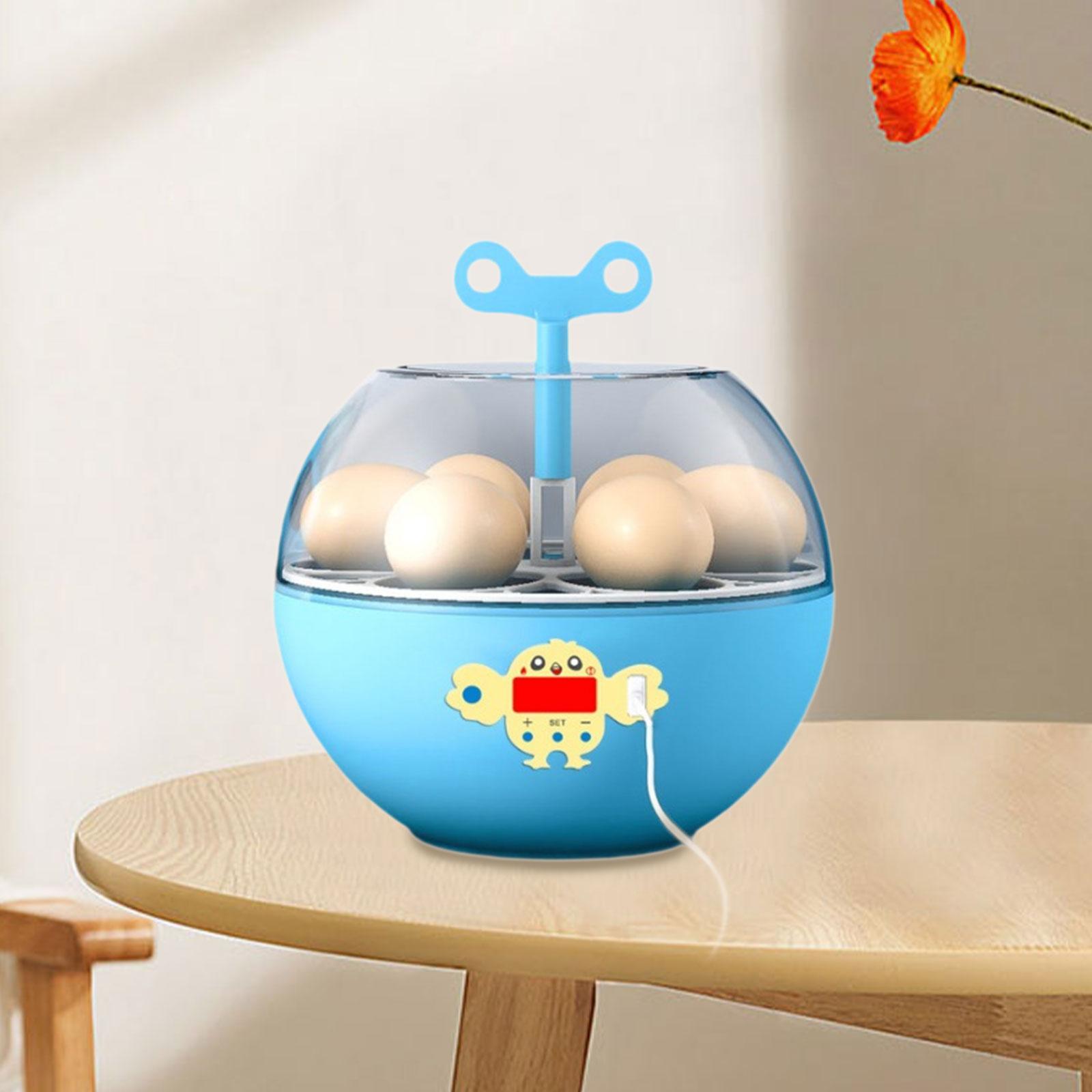 Incubatrice per 6 Uova, Mini I - Quail Egg Incubator recensione e prezzo