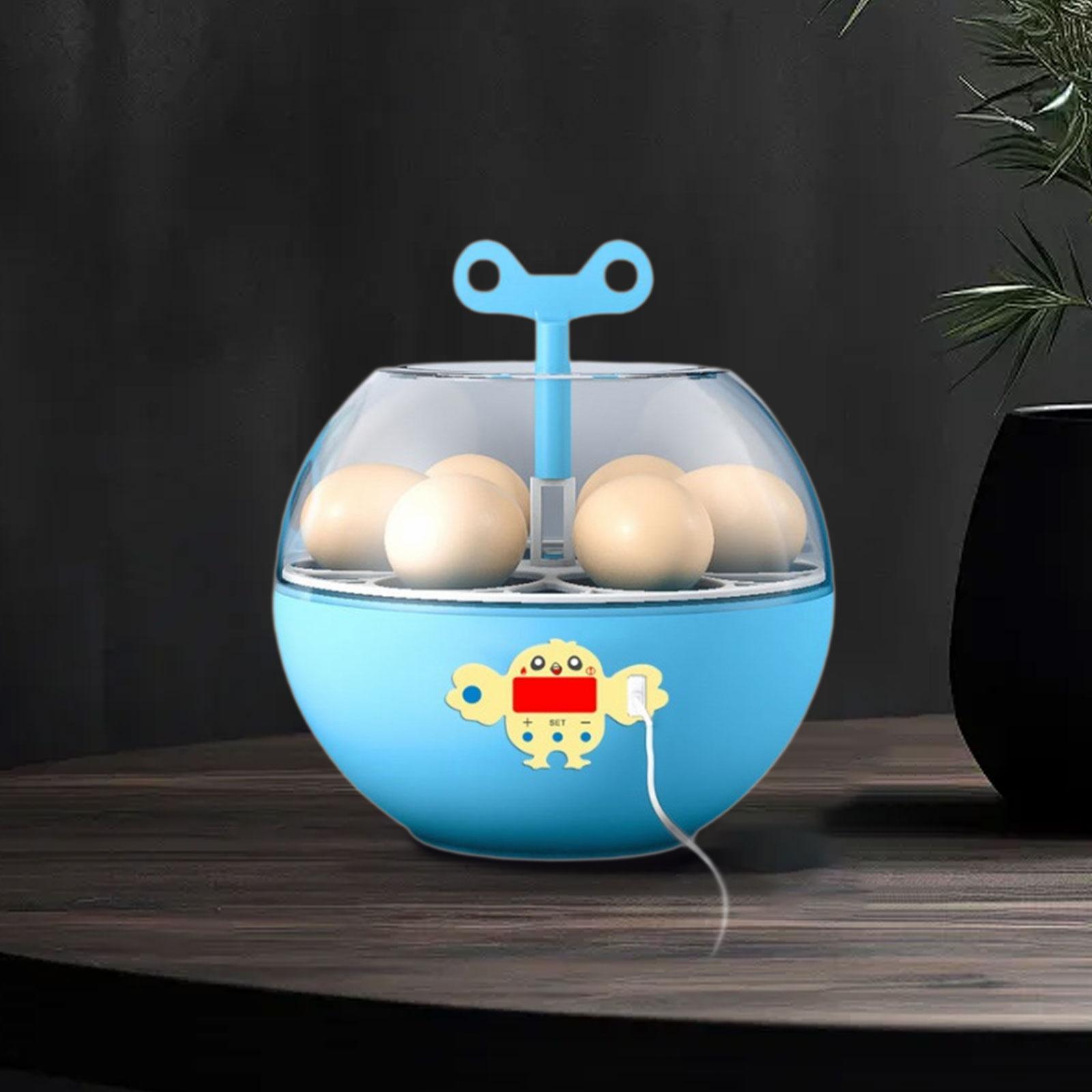 Incubatrice per 6 Uova, Mini I - Quail Egg Incubator recensione e prezzo