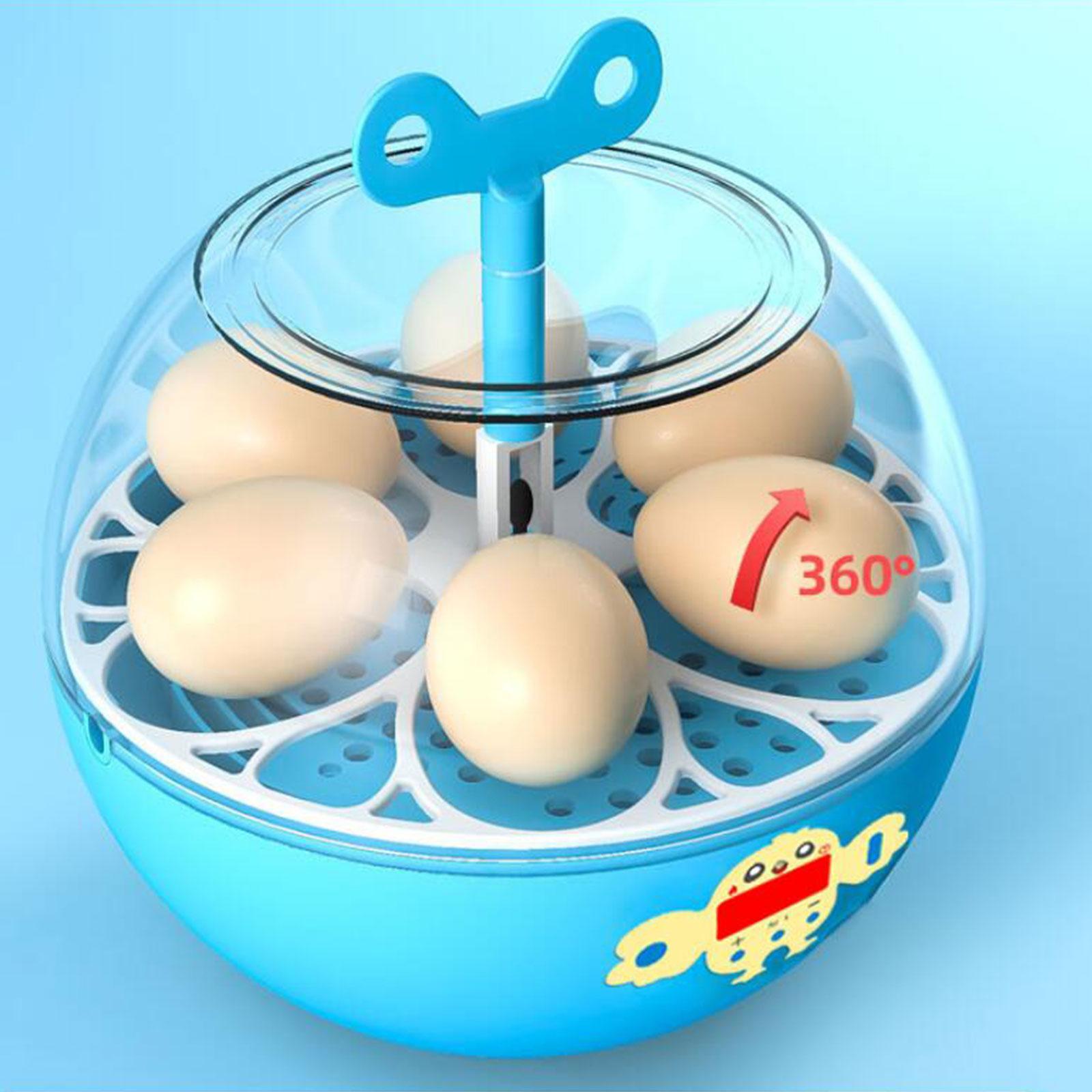 Incubatrice per 6 Uova, Mini I - Quail Egg Incubator recensione e prezzo