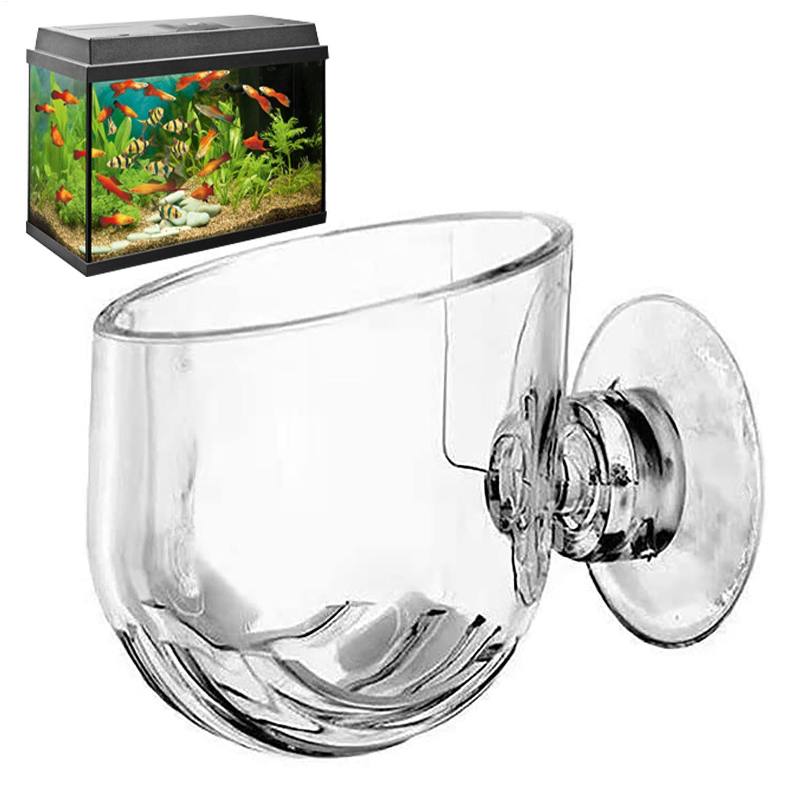 Vaso per piante acquatiche Fio - Plant Growth Regulator recensione e prezzo