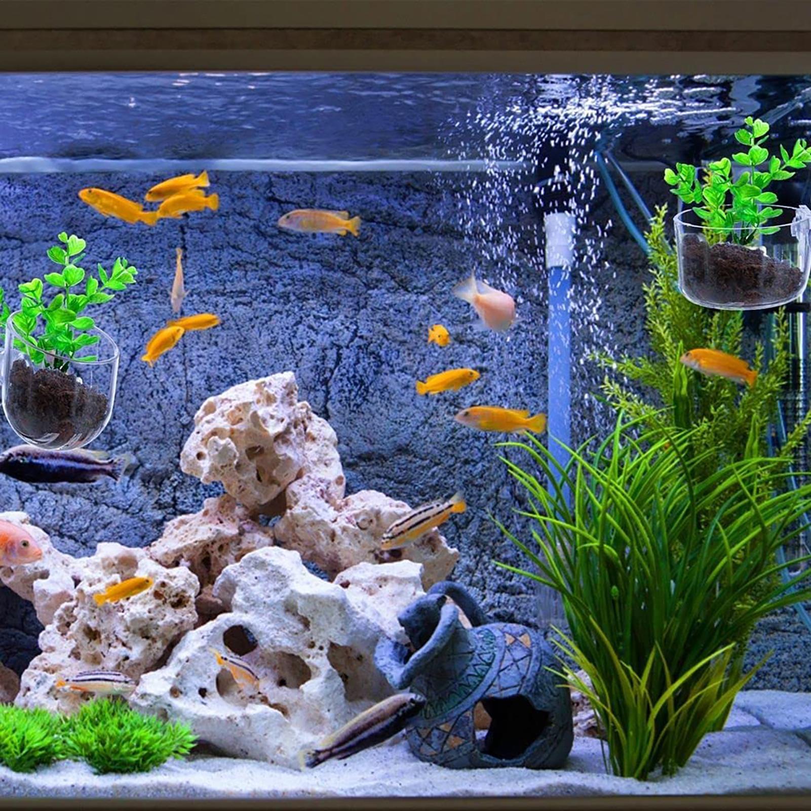 Vaso per piante acquatiche Fio - Plant Growth Regulator recensione e prezzo