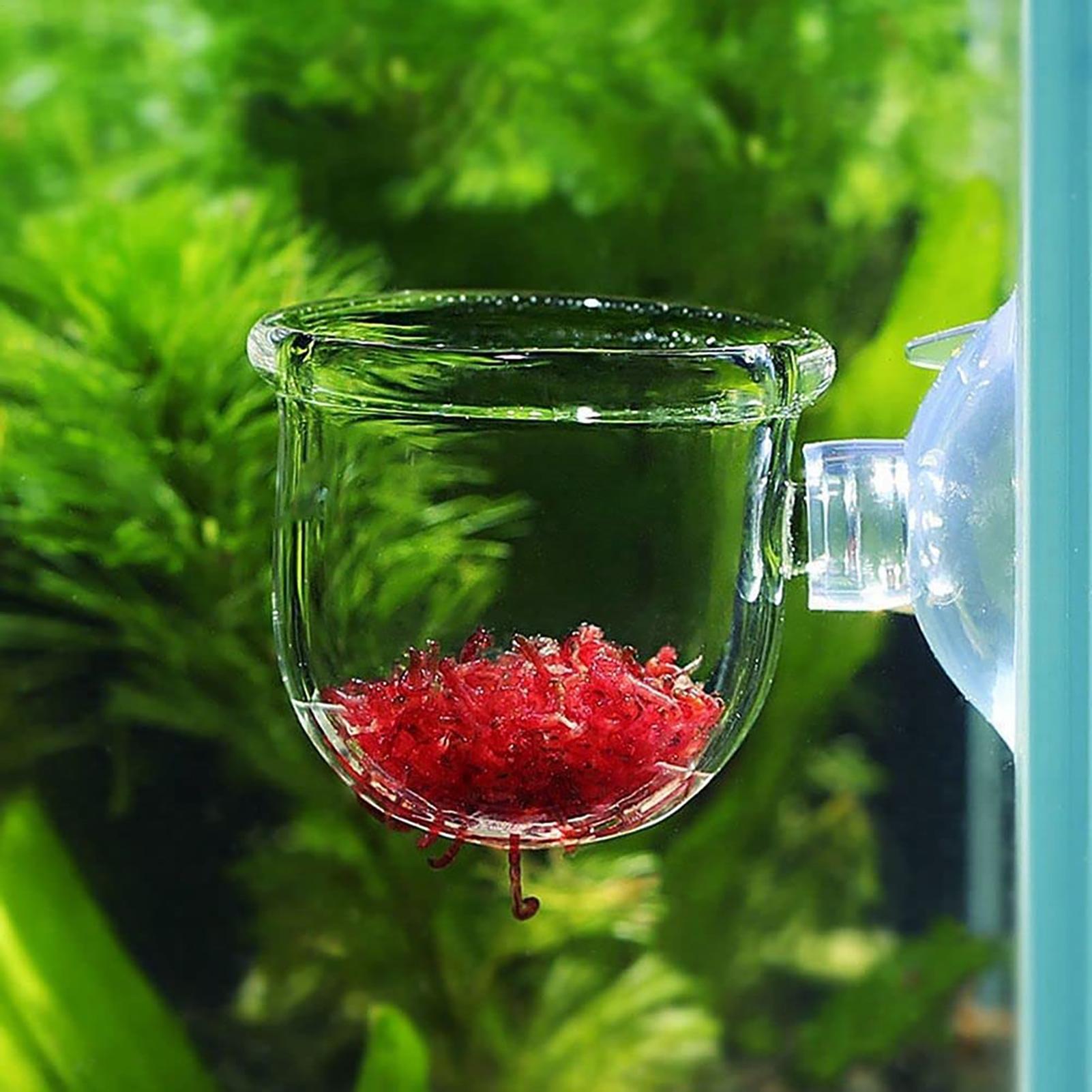 Vaso per piante acquatiche Fio - Plant Growth Regulator recensione e prezzo
