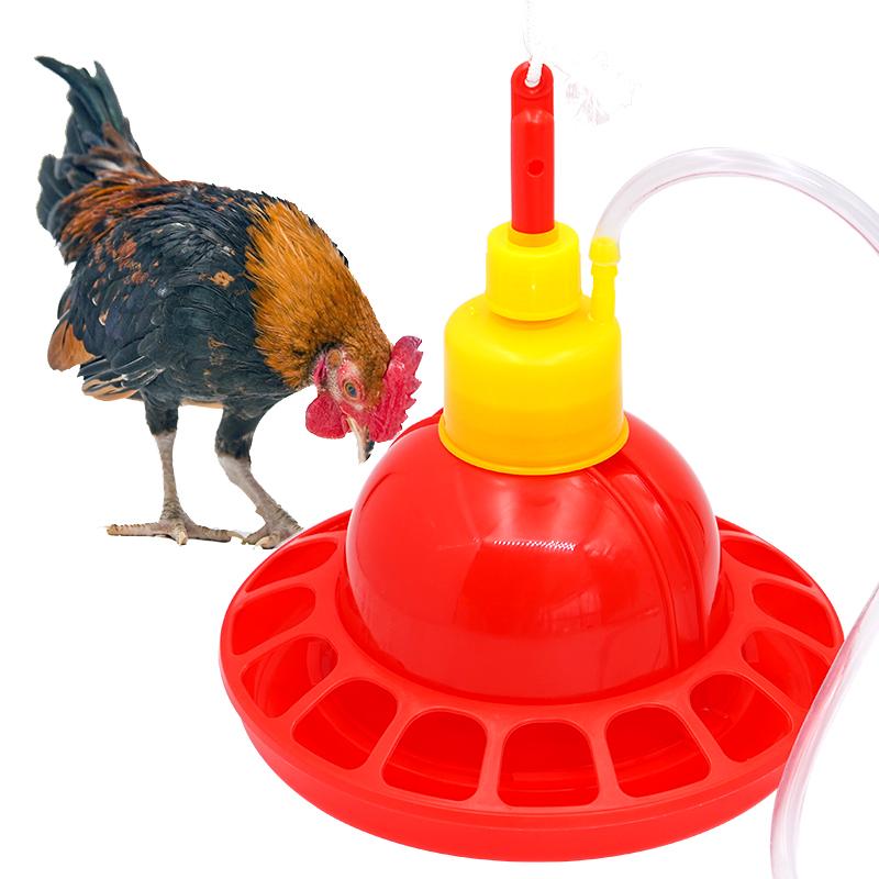 1 Set Pollo Anatra Oca Griglia - Chicken Nipple Drinker recensione e prezzo