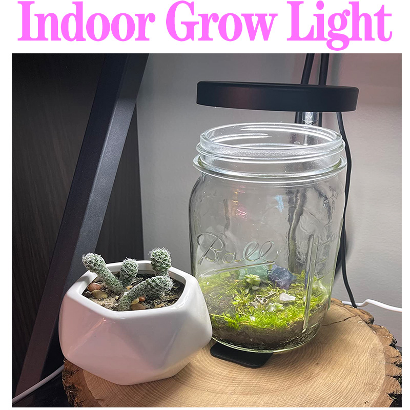 Lampada per piante a spettro c - Plant Growth Regulator recensione e prezzo