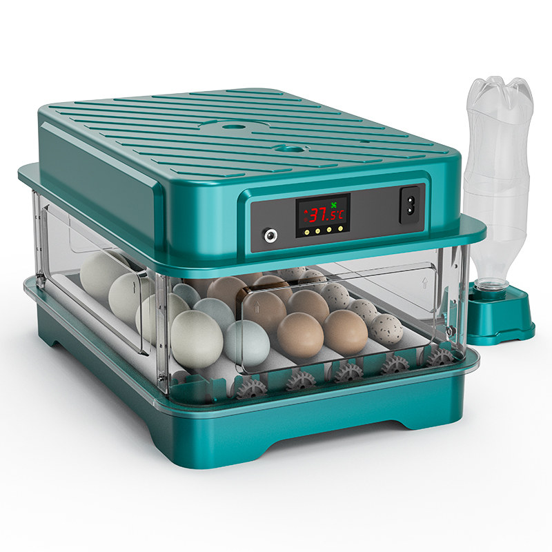Incubatrice Automatica per Uov - Quail Egg Incubator recensione e prezzo