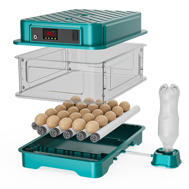 Incubatrice Automatica per Uov - Quail Egg Incubator recensione e prezzo