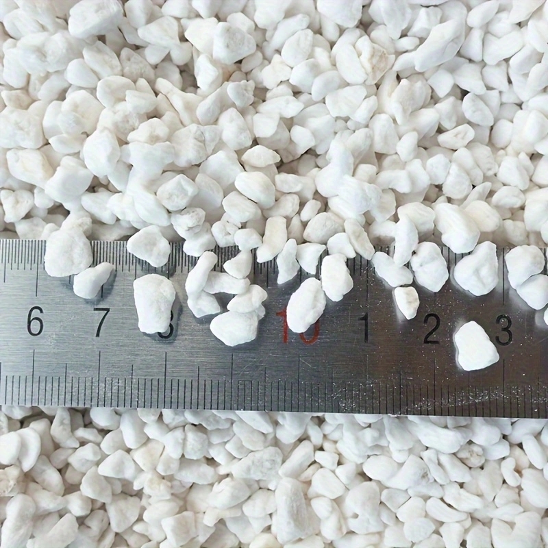 Confezione da 1 Pezzo di Perli - Horticulture Soil Perlite recensione e prezzo